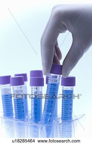 Scientist picking up a test tube with liquid from a rack, side view, close up, toned image, blue background View Large Photo Image Picture - Scientist picking up a test tube with liquid from a rack, side view, close up, toned image, blue background. Fotosearch