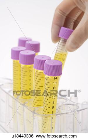 Scientist picking up a test tube with liquid from a rack, side view, close up, white background View Large Photo Image Stock Photograph - Scientist picking up a test tube with liquid from a rack, side view, close up, white background. Fotosearch