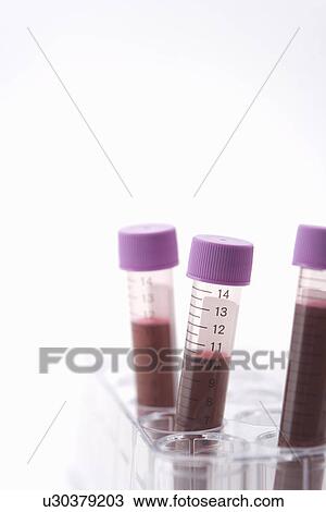 Test tubes with liquids in a rack, close up, white background View Large Photo Image Stock Image - Test tubes with liquids in a rack, close up, white background. Fotosearch