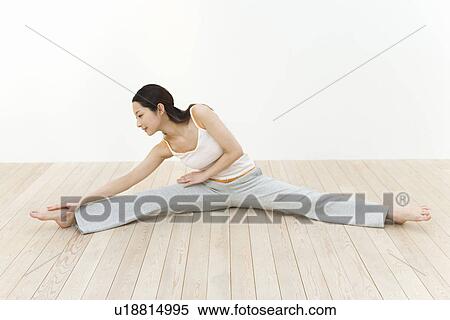 A woman doing exercise, stretching, front view, white background View Large Photo Image Stock Photography - A woman doing exercise, stretching, front view, white background. Fotosearch