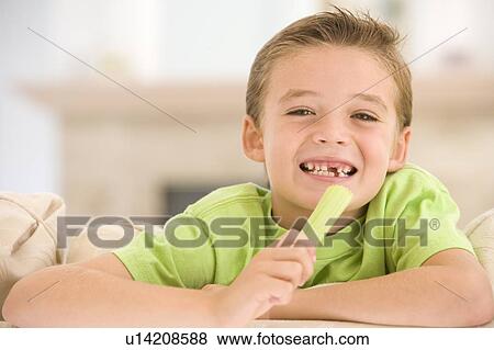 Young boy eating celery in living room smiling View Large Photo Image Stock Photo - Young boy eating celery in living room smiling. Fotosearch