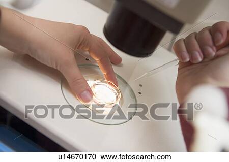 Stock Image - Embryologist adding sperm to egg. Fotosearch