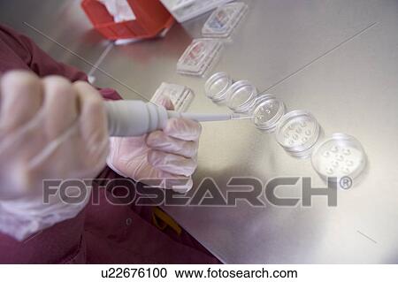 Embryologist adding sperm to egg View Large Photo Image Stock Image - Embryologist adding sperm to egg. Fotosearch
