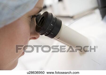 Embryologist adding sperm to egg View Large Photo Image Stock Image - Embryologist adding sperm to egg. Fotosearch