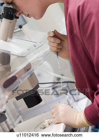 Stock Photograph - Embryologist adding sperm to egg . Fotosearch