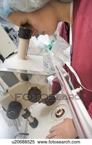 Stock Photography - Embryologist adding sperm to egg. Fotosearch