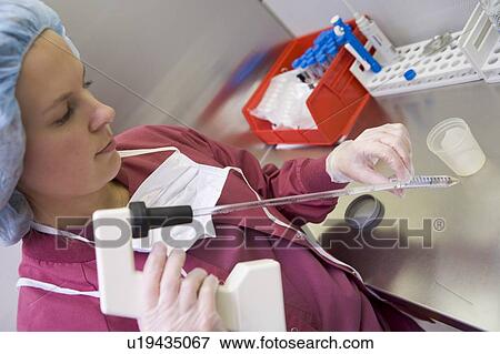 Stock Photo - Embryologist doing an intra cytoplasmic sperm injection (selective focus). Fotosearch