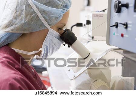 Embryologist examining folicular fluid with a microscope View Large Photo Image Picture - Embryologist examining folicular fluid with a microscope. Fotosearch
