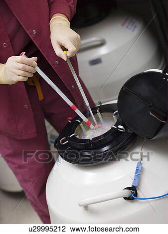 Embryologist freezing embryos for storage View Large Photo Image Stock Image - Embryologist freezing embryos for storage. Fotosearch