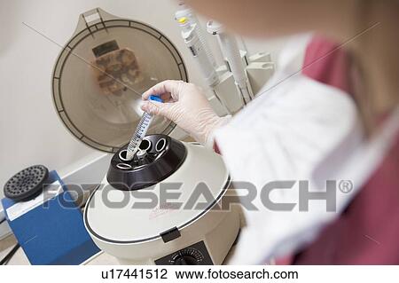 Embryologist putting sample into centrifuge (selective focus) View Large Photo Image Stock Image - Embryologist putting sample into centrifuge (selective focus). Fotosearch