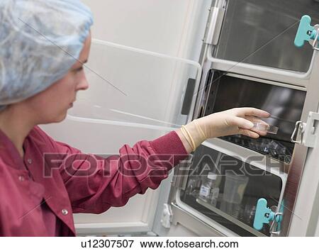 Stock Photo - Embryologist putting sample into incubator (selective focus). Fotosearch
