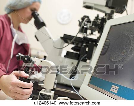 Stock Image - Embryologist with microscope performing an intra cytoplasmic sperm injection (selective focus). Fotosearch