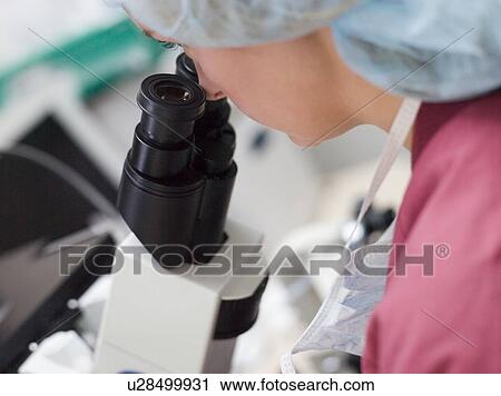 Stock Image - Embryologist with microscope performing an intra cytoplasmic sperm injection (selective focus). Fotosearch