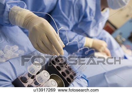 Stock Photo - Nurse assisting with egg retrieval procedure. Fotosearch