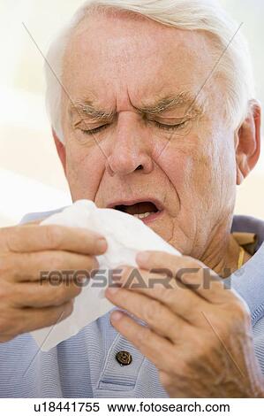 Senior Man Sneezing View Large Photo Image Stock Photography - Senior Man Sneezing. Fotosearch