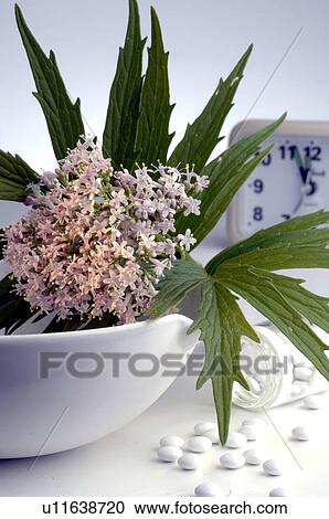 Stock Image - Valerian, alarm clock, pills and motar. Fotosearch
