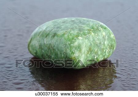 Stock Photography - Heliotrope. Fotosearch