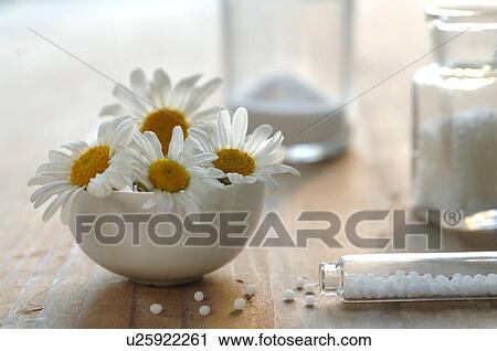 camomile View Large Photo Image Stock Image - camomile. Fotosearch