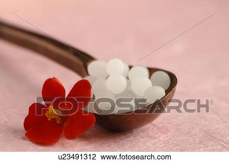 Globules and red flower View Large Photo Image Stock Image - Globules and red flower. Fotosearch