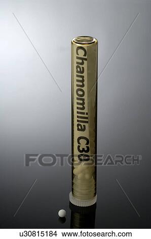 Globules Chamomilla C 30 View Large Photo Image Picture - Globules Chamomilla C 30. Fotosearch