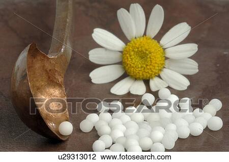 Globules Chamomilla View Large Photo Image Stock Image - Globules Chamomilla. Fotosearch