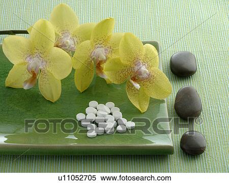 Globuli and orchids View Large Photo Image Stock Photography - Globuli and orchids. Fotosearch
