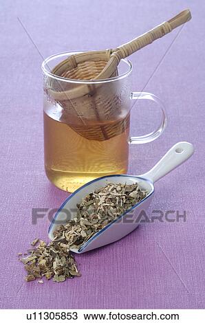 Healing infusions View Large Photo Image Stock Image - Healing infusions. Fotosearch