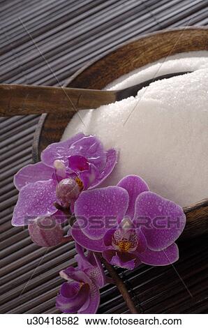 Homeopathic remedies View Large Photo Image Stock Image - Homeopathic remedies. Fotosearch
