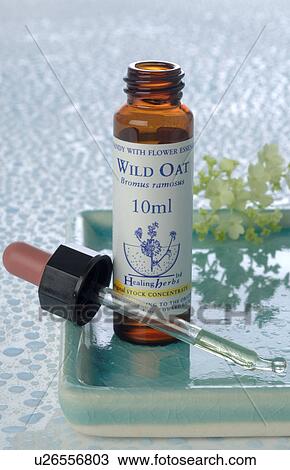 Homeopathic remedies: Wild oat View Large Photo Image Stock Image - Homeopathic remedies: Wild oat. Fotosearch