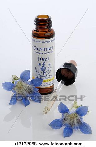 Stock Photo - Homopathic remedies: Gentian. Fotosearch