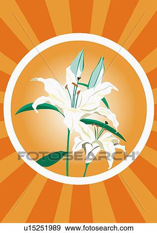 Clip Art - Flowers framed in the circle of the sun. Fotosearch