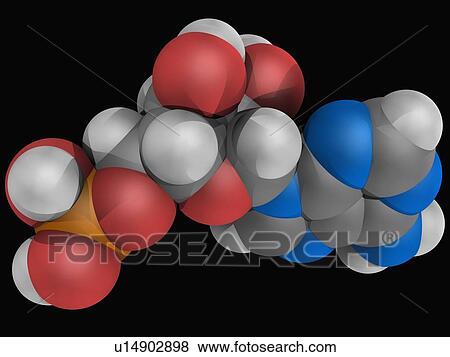 Adenosine monophosphate molecule View Large Illustration Stock Illustration - Adenosine monophosphate molecule. Fotosearch