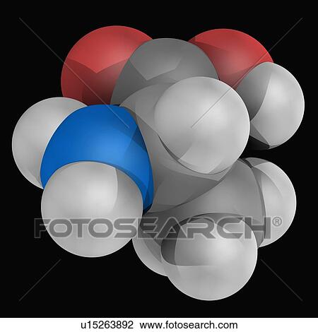 Drawing - Alanine molecule. Fotosearch