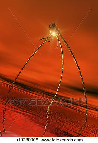 Alien invasion, conceptual artwork View Large Illustration Stock Illustration - Alien invasion, conceptual artwork. Fotosearch