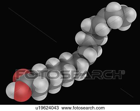 Alpha-linolenic acid molecule View Large Illustration Drawing - Alpha-linolenic acid molecule. Fotosearch