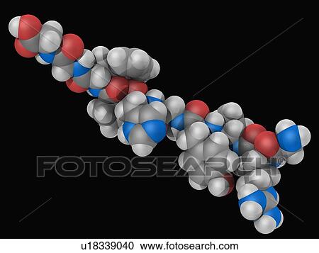 Clipart - Angiotensin hormone molecule. Fotosearch