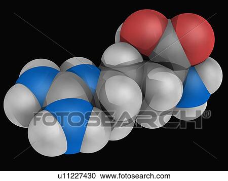 Arginine molecule View Large Illustration Clipart - Arginine molecule. Fotosearch
