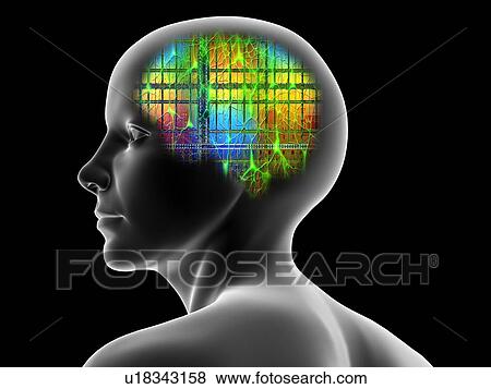 Artificial intelligence, artwork View Large Illustration Stock Illustration - Artificial intelligence, artwork. Fotosearch