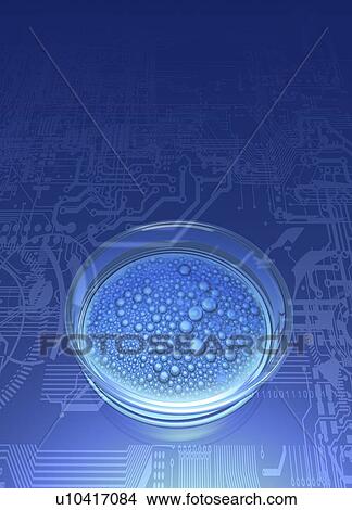 Bacterial research, conceptual artwork View Large Illustration Stock Illustration - Bacterial research, conceptual artwork. Fotosearch
