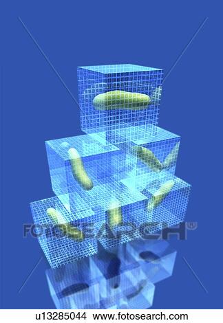 Bacterial research, conceptual artwork View Large Illustration Stock Illustration - Bacterial research, conceptual artwork. Fotosearch