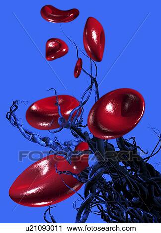 Clip Art - Blood clotting, conceptual artwork. Fotosearch
