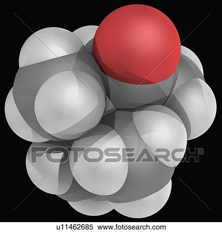 Stock Illustration - Camphor molecule. Fotosearch