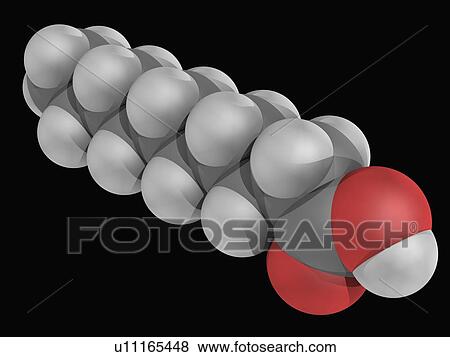 Stock Illustration - Capric acid molecule. Fotosearch