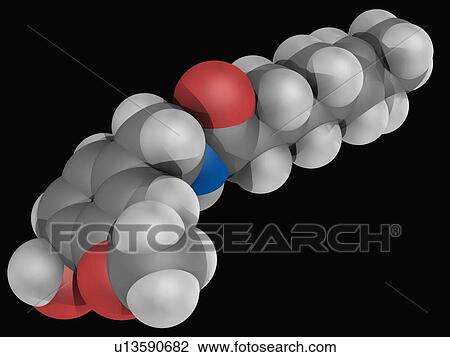 Capsaicin molecule View Large Illustration Drawing - Capsaicin molecule. Fotosearch