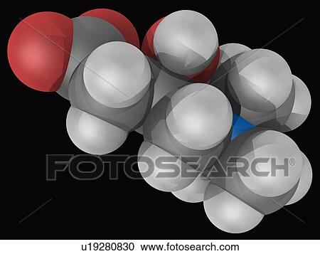 Clipart - Carnitine molecule. Fotosearch