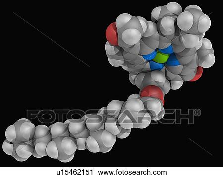 Clip Art - Chlorophyll B molecule. Fotosearch