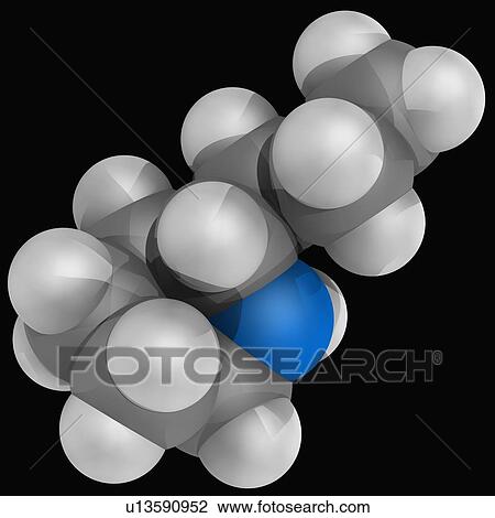 Coniine molecule View Large Illustration Drawing - Coniine molecule. Fotosearch