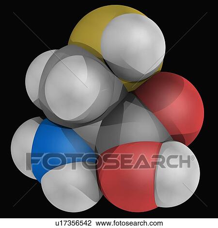 Drawing - Cysteine molecule. Fotosearch
