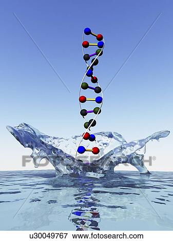 Stock Illustration - DNA coming out of water, artwork. Fotosearch