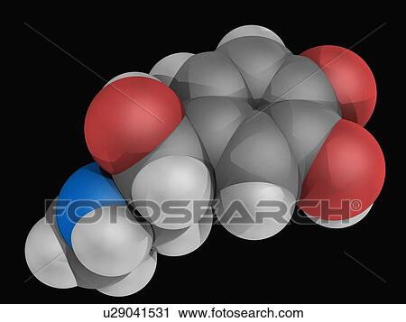 Epinephrine molecule View Large Illustration Clip Art - Epinephrine molecule. Fotosearch